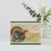 Carte Postale Vintage Thanksgiving Turkeys et Haystaches (Debout devant)