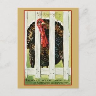 Carte Postale Vintage Thanksgiving Turquie