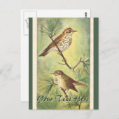 Carte postale vintage Thrushes (Devant / Derrière)