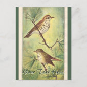 Carte postale vintage Thrushes (Devant)