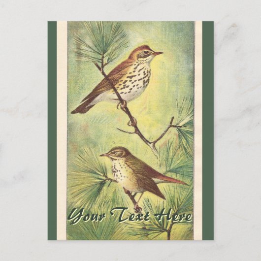 Carte postale vintage Thrushes (Devant)