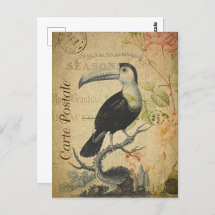 Carte Postale Vintage Toucan Bird