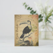 Carte Postale Vintage Toucan Bird (Debout devant)