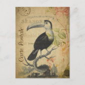 Carte Postale Vintage Toucan Bird (Devant)