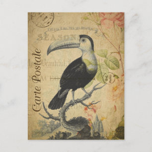 Carte Postale Vintage Toucan Oiseau rose Roses Florales Français