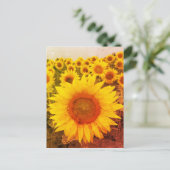 Carte postale vintage Tournesol Rustique (Debout devant)