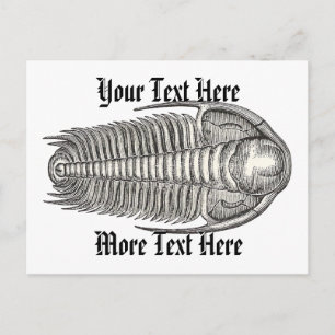 Carte postale vintage Trilobite
