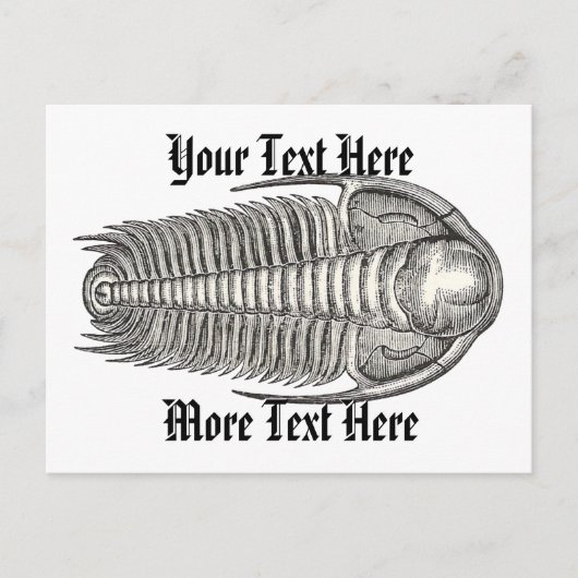 Carte postale vintage Trilobite (Devant)