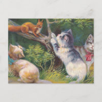 Carte postale Vintage "Trois chatons et un écureui