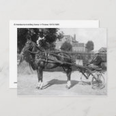 Carte Postale Vintage trotter et sulfureux (Devant / Derrière)