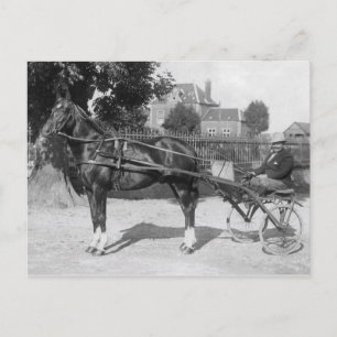 Carte Postale Vintage trotter et sulfureux