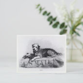 Carte postale vintage U.S. Mail Dog Photo (Debout devant)