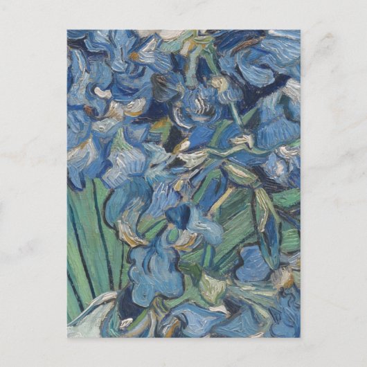 Carte Postale Vintage Van Gogh Irises (Devant)
