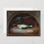 Carte postale vintage Victorian Dead Bird (Devant / Derrière)