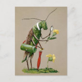 Carte postale vintage victorienne de sauterelle (Devant)
