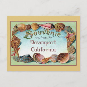 Carte Postale Vintage voyage de Davenport California Seashells