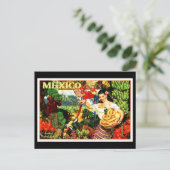 Carte postale Vintage voyage-Mexique 2 (Debout devant)