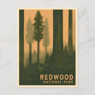 Carte Postale Vintage voyage Redwood National Park Rétro Pittore