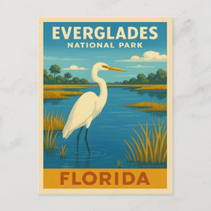 Carte Postale Vintage voyage rétro Floride Everglades Nature