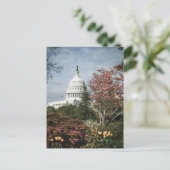 Carte postale vintage Washington DC (Debout devant)
