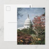 Carte postale vintage Washington DC (Devant / Derrière)