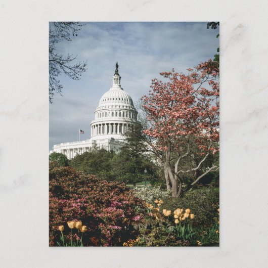 Carte postale vintage Washington DC (Devant)