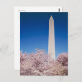 Carte postale vintage Washington DC (Devant / Derrière)