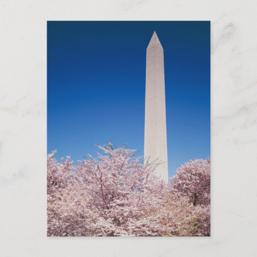 Carte postale vintage Washington DC (Devant)