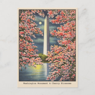 Carte Postale Vintage Washington Monument & Cherry Blossoms DC