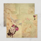 Carte postale vintage White Dove Shabby Chic (Devant / Derrière)