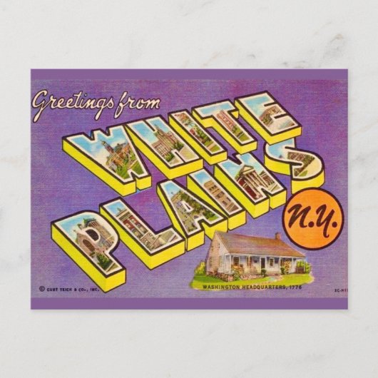Carte Postale Vintage White Plains NY Greeting Postcard (Devant)