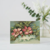 Carte Postale Vintage Wild Roses (Debout devant)