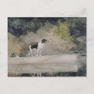 Carte Postale Vintage Winslow Homer Aquarelle Chien sur un journ