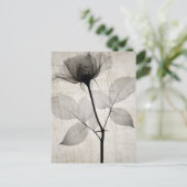 Carte Postale Vintage X-Ray Flower w/ Leaves (Debout devant)
