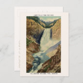 Carte postale vintage Yellowstone, Lower Falls (Devant / Derrière)