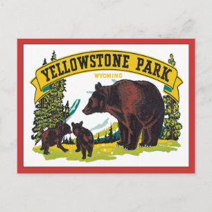 Carte Postale Vintage Yellowstone Park Wyoming États-Unis