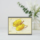 Carte Postale Vintage Zodiac Astrologie Librairie Échelle Conste (Debout devant)
