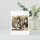 Carte Postale Vintages Hula Girls du territoire d'Hawaii (Debout devant)