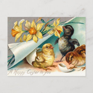 Carte Postale Vintages poussins aux fleurs jaunes Salutation de