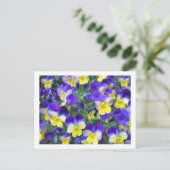 Carte Postale Viola cornuta (Debout devant)