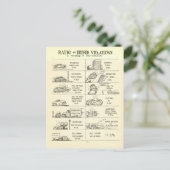 Carte Postale Violations vintages (Debout devant)