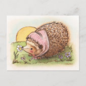 Carte Postale Violer le hérisson (Devant)