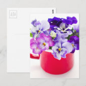 Carte Postale violet (Devant / Derrière)