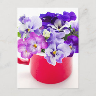 Carte Postale violet