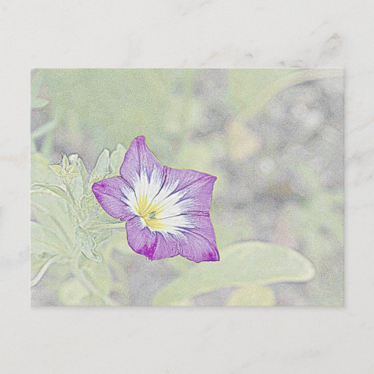 Carte Postale Violet (Devant)