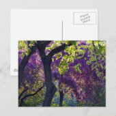 Carte Postale Violet (Devant / Derrière)