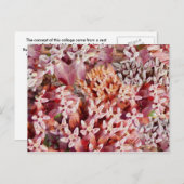 Carte Postale Violet (Devant / Derrière)