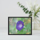 Carte Postale Violet (Debout devant)