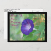 Carte Postale Violet (Devant / Derrière)