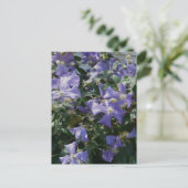 Carte Postale Violet (Debout devant)